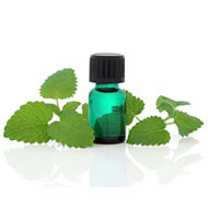 Spearmint Essential Oil