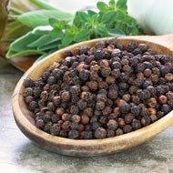 Black Pepper Essential Oil