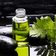 Essential Oil Benefits & Uses