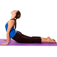 Basic Yoga Poses And Back Bends