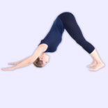 Adho Mukha Svanasana (Downward Facing Dog Pose)