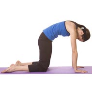 Yoga Poses For Menstrual Cramps