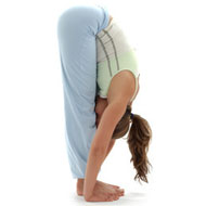 Standing Forward Fold Pose For The Spine