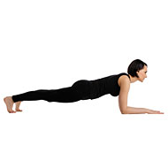 Dolphin Plank Pose